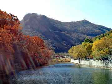 奥门天天开奖免费资料，车祸现场恐怖图片